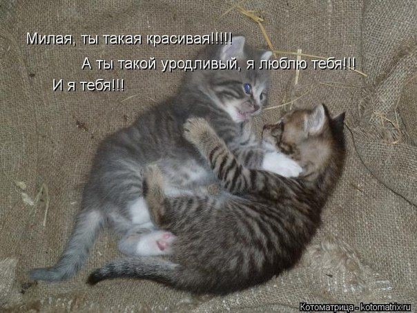 Все Равно Ты Будешь Мой Фото