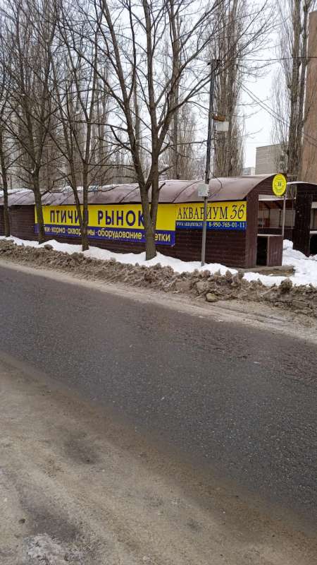 Птичий рынок воронеж карта