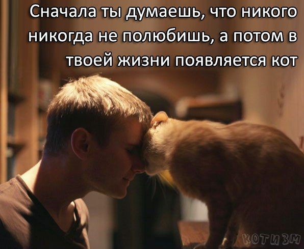 ДОБРОТА!