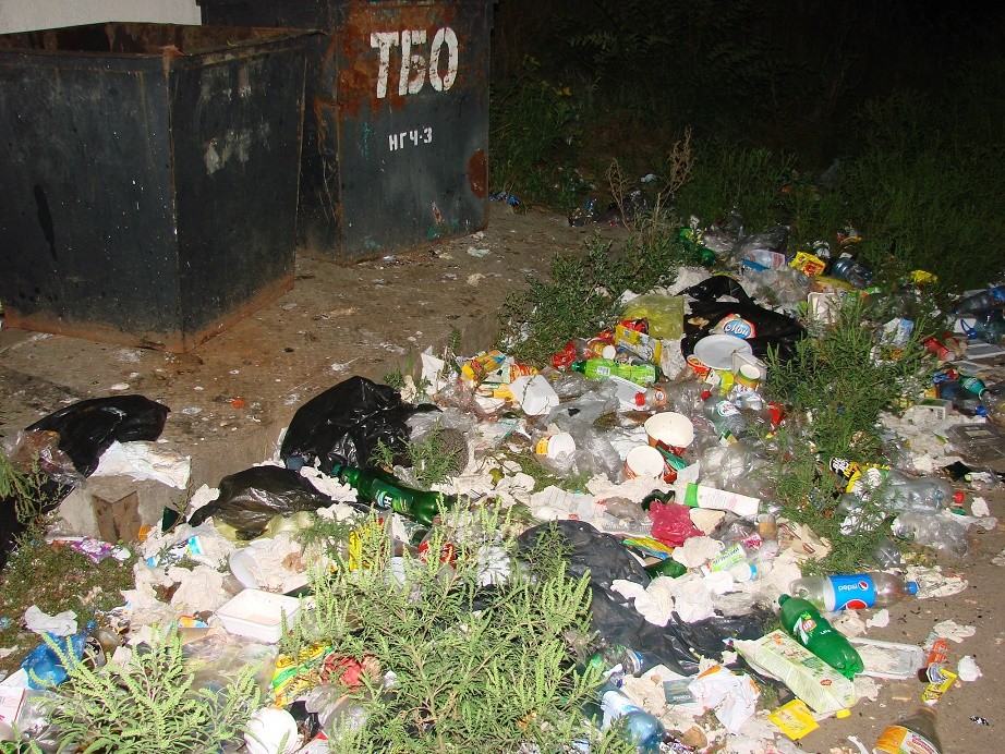 к чему снится мусор. мусорные контейнеры переполнены. помойка. мусор в парке. мусор на улице тульской области.
